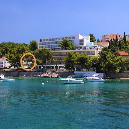 Apartments Rina Cavtat Εξωτερικό φωτογραφία